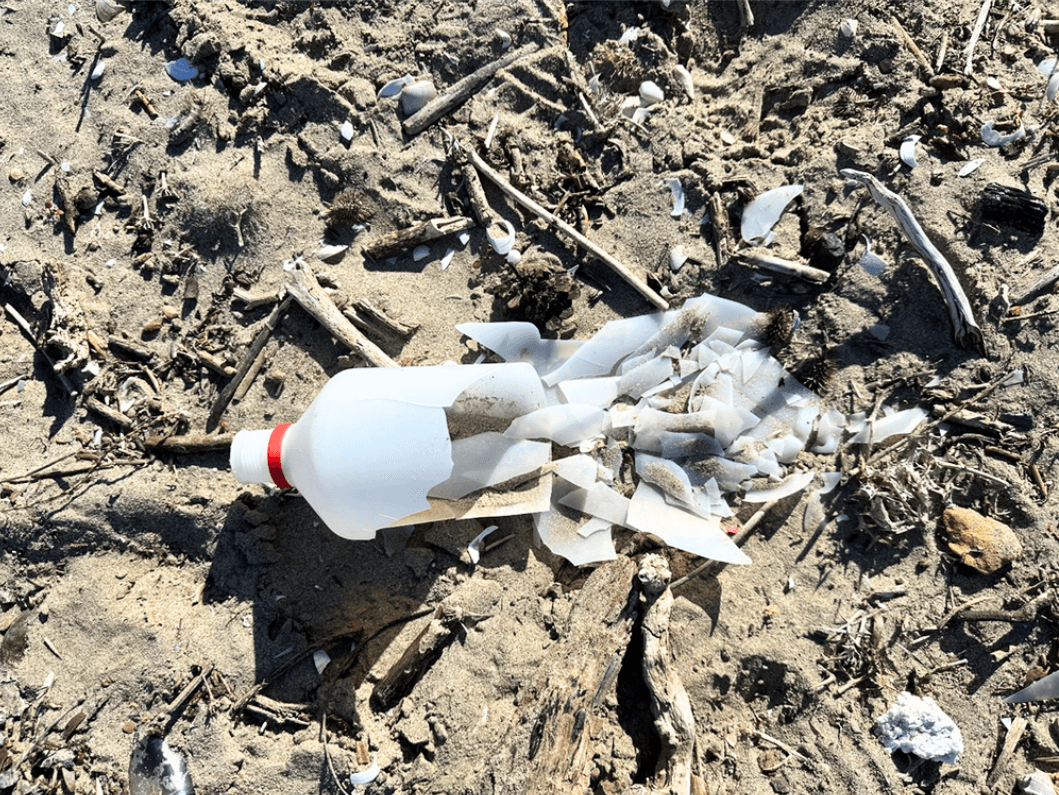 Odpadki v vodnih ekosistemih